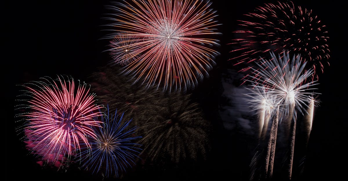 A stunning fireworks display lights up the night sky with vibrant colors.